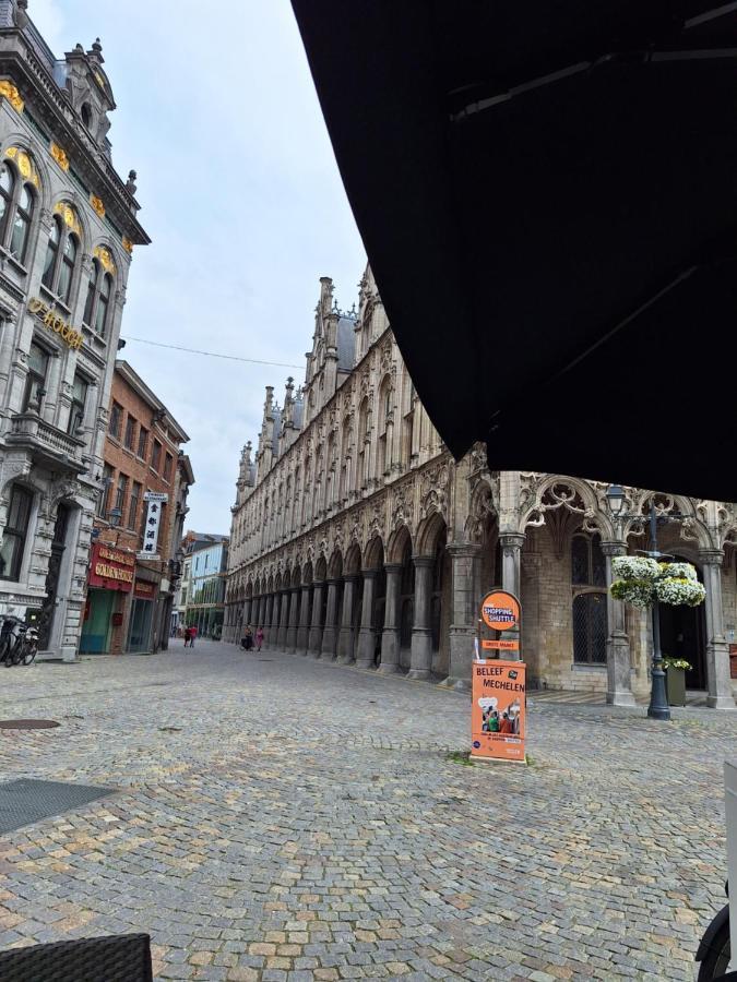 Huis Alna 4 Mechelen Bagian luar foto